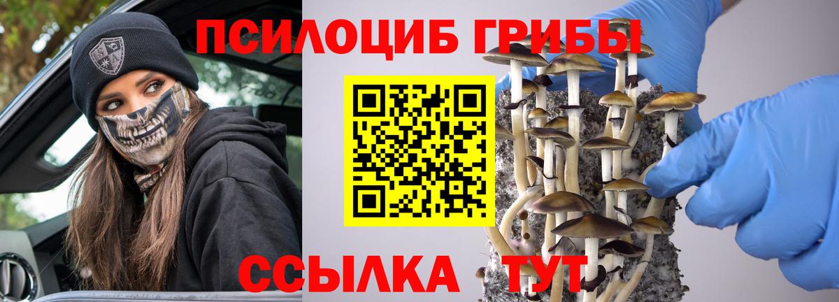 Псилоцибиновые грибы GOLDEN TEACHER  Вход с VPN  даркнет сайт  Псилоцибиновые грибы прущие грибы  Нефтекамск 